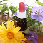 Atelier aromathérapie