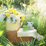 Café en plein air sur Sadyba/Willanow