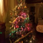 Un Noël en Pologne