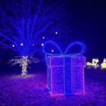 Féérie en famille : les illuminations de Noël