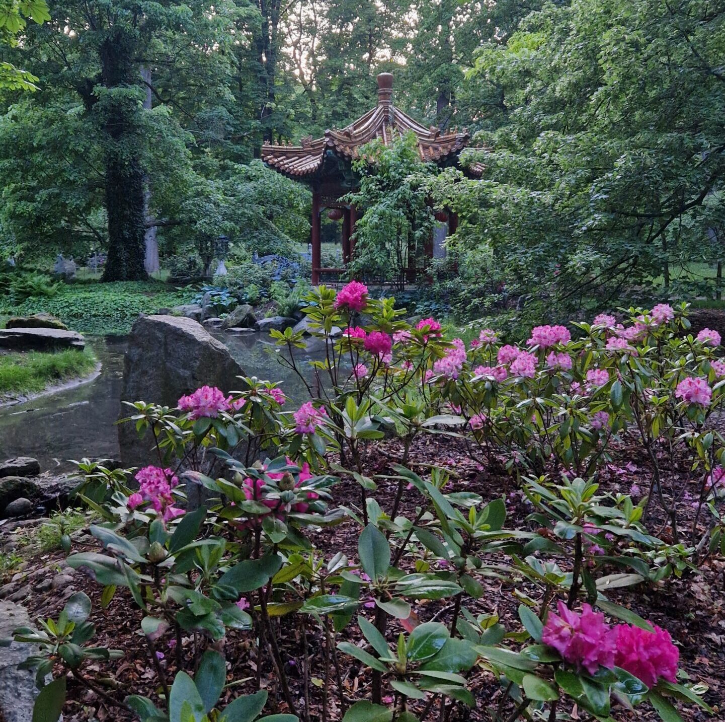 Balade guidée au parc Łazienki